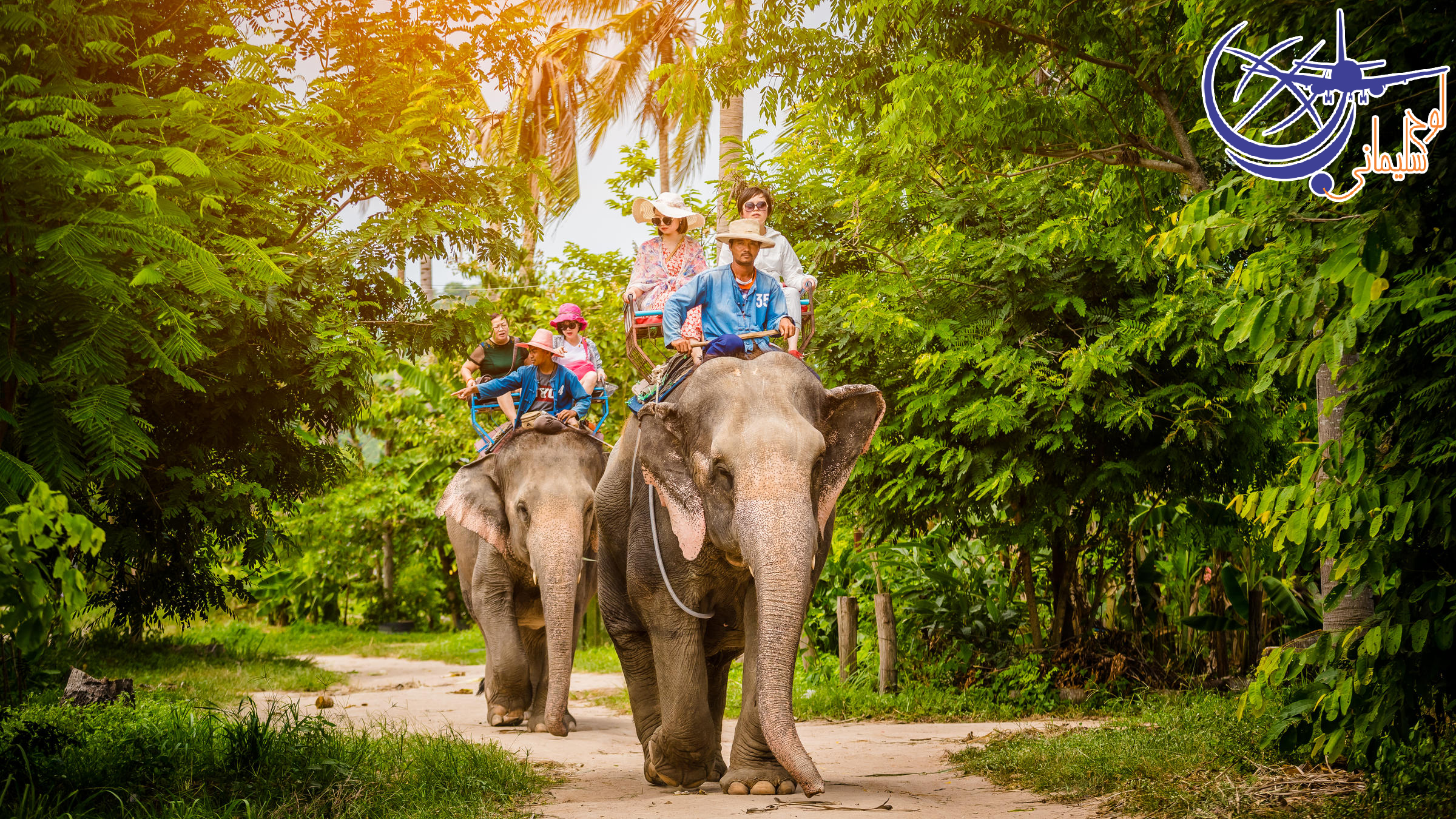 جنگل فیل های پاتایا/Pattaya Elephant Jungle Sanctuary 